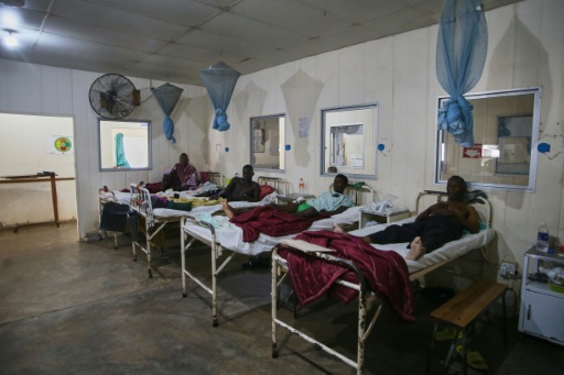 Zimbabwe: les malades d'Harare obligÃ©s de se soigner Ã  la campagne