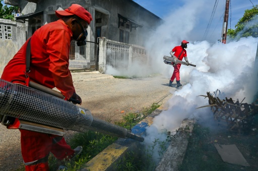 L'OMS lance la lutte mondiale contre la dengue