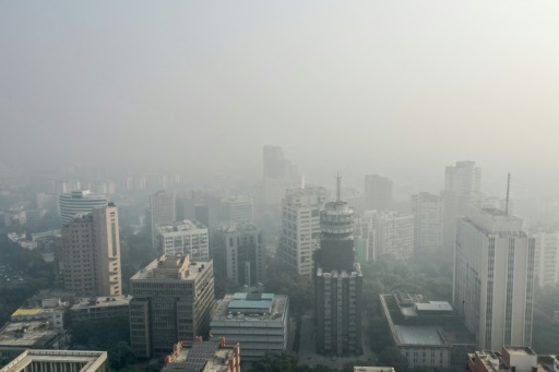 Une brume âcre engloutit la capitale indienne, victime de la pollution atmosphérique provoquée notamment par le brûlage des chaumes, à New Delhi le 23 octobre 2024
