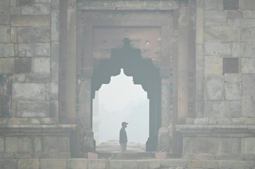 Un homme visite les jardins de Lodi en plein pic de pollution atmoshérique à New Delhi le 18 novembre 2024
