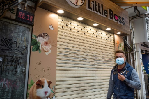 Une animalerie fermée après la découverte de hamsters positifs au Covid-19, à Hong Kong le 18 janvier 2022
