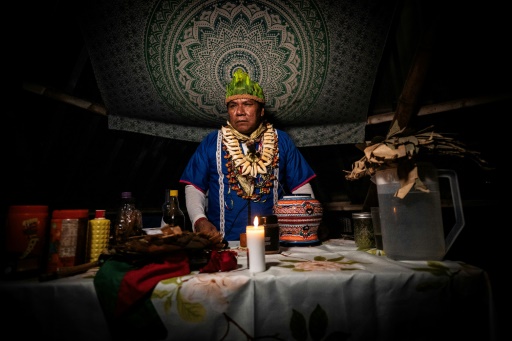 L'ayahuasca: un remÃ¨de pour les chamans, une drogue pour le Mexique