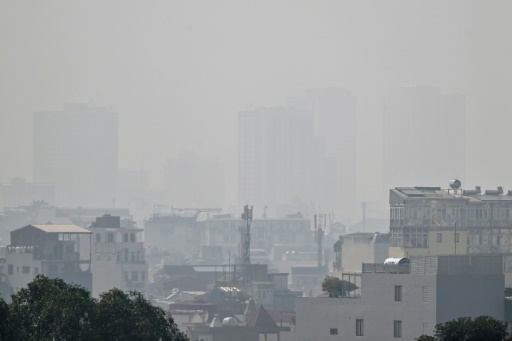 Plus d'un cancer du poumon des non-fumeurs sur deux serait lié à la pollution atmosphérique