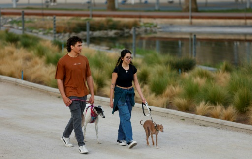 Un couple promène ses chiens dans le parc du Bicentenaire à Santiago le 5 septembre 2024
