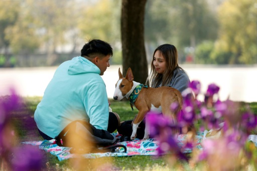 Un couple promène son chien dans le parc du Bicentenaire à Santiago, le 5 septembre 2024
