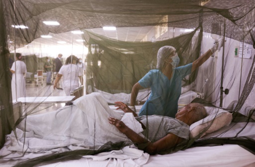 Les ravages de la dengue au PÃ©rou, infections record au BrÃ©sil et en Argentine
