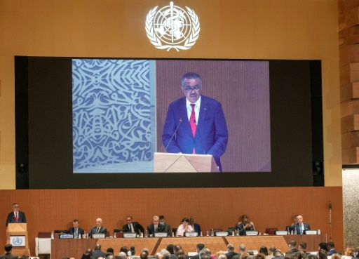 Le directeur général de l'OMS, Tedros Adhanom Ghebreyesus, le 22 mai 2022 à Genève
