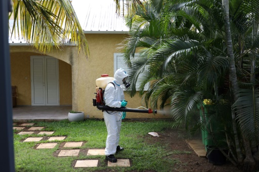 Chikungunya à La Réunion: une campagne de vaccination va cibler les personnes les plus à risque