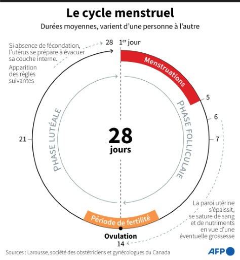 Schéma expliquant le cycle menstruel

