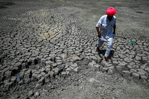 Bandai, dans le district de Pali, en Inde, le 11 mai 2022
