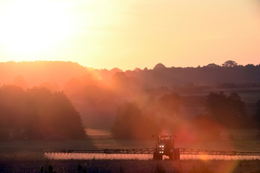 Un fermier français utilise le désherbant Roundup dans ses champs à Saint Germain-sur-Sarthe le 16 septembre 2019
