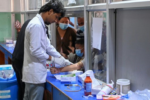 Un technicien médical prélève un échantillon de sang sur un patient pour vérifier la présence de la dengue, le 22 octobre 2024 à l'hôpital Sukraraj de Katmandou, au Népal
