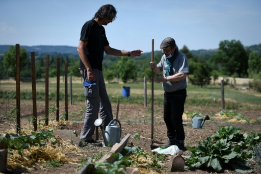 Nicolas Brassart, à gauche, moniteur en harge du jardinage, aide Jean-Claude, à droite, un patient de 'La Clé des Champs' à Gabriac dans l'Aveyron, le 2 juin 2022

