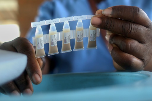 Des doses de vaccin contre le choléra à Harare, le 29 janvier 2024 au Zimbabwe
